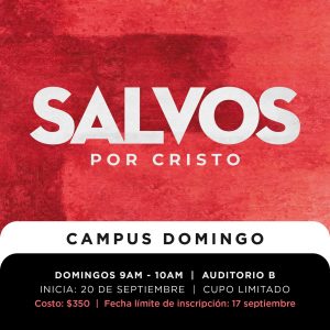 Salvos - Domingos